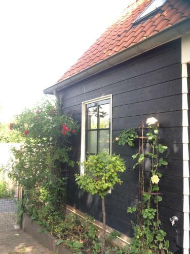 Apartamento Het Zwaluwnest