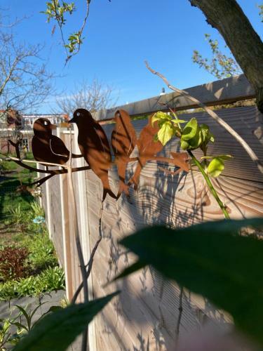 Apartamento Het Zwaluwnest