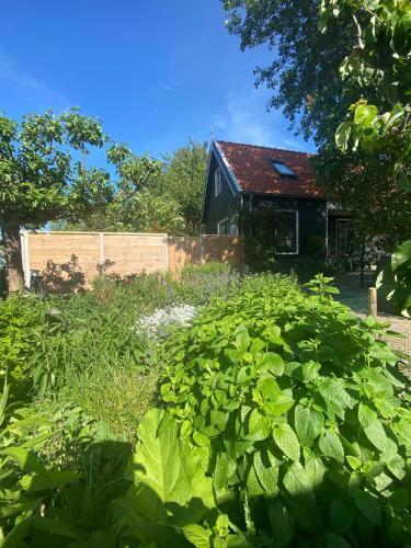 Apartamento Het Zwaluwnest