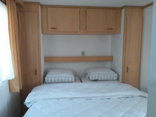 Chalet Van Minicamping De Braamhof