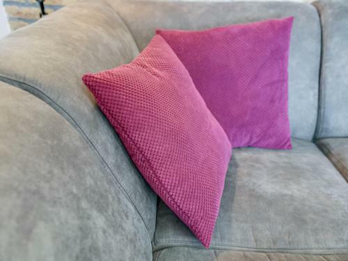 Classy Holiday Home In Langezwaag With Terrace