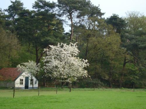 Snug Holiday Home In Lemele Near The Forest