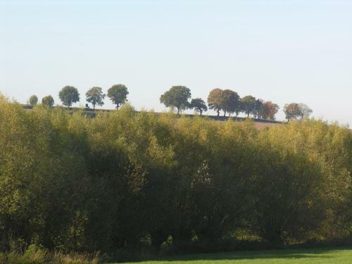 B&B Bij Tante Toos