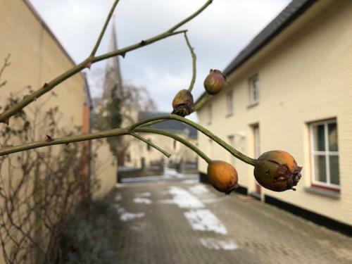 Hotel Herberg Oud Holset