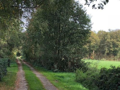 Apartamento Gastenverblijf De Lorem