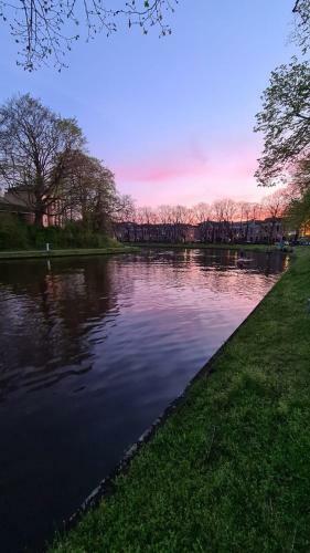 Prinsenbed