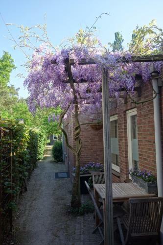 Apartamento B&B Achterom