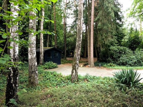 Bungalow Met Uitzicht Op Eigen Bos