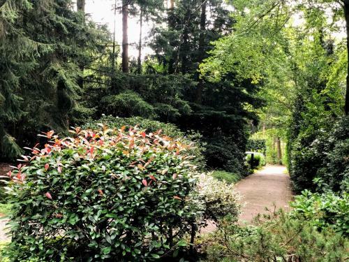 Bungalow Met Uitzicht Op Eigen Bos