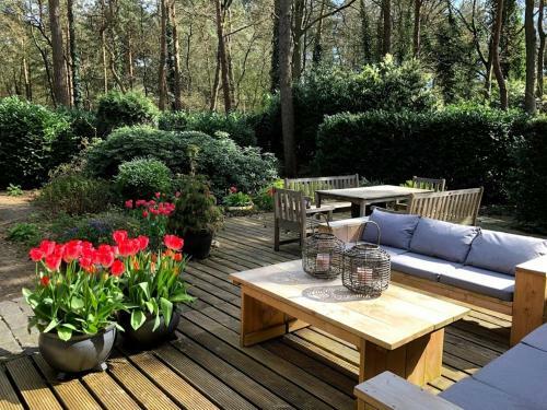 Bosbungalow Ruighenrode