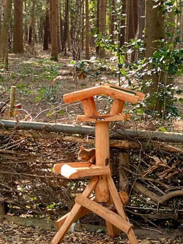 Boshuisje Grenzend Aan Het Bos.