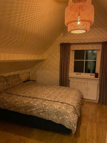 Luxe Vakantiehuis In Het Bos Met Jacuzzi En Sauna