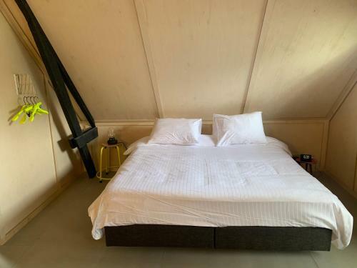 Bed & Breakfast Het Lage Noorden
