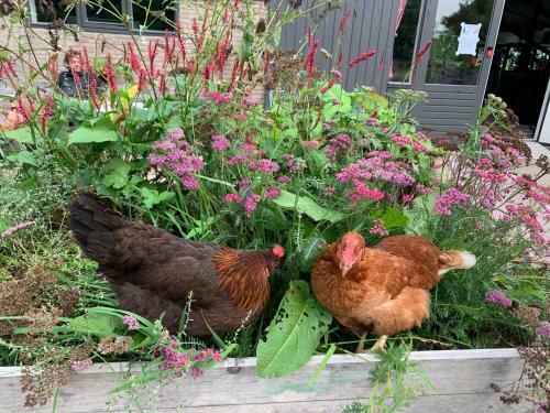 Bed & Breakfast Het Lage Noorden