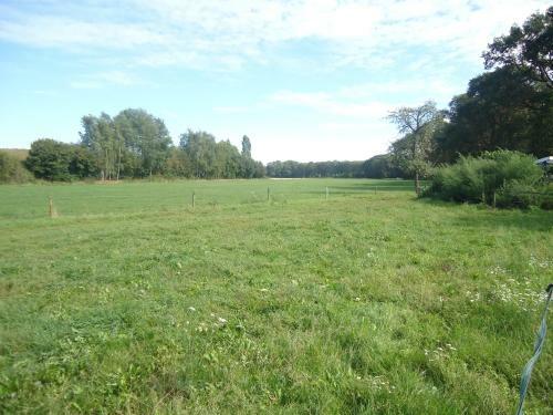 B&B Morskershoeve