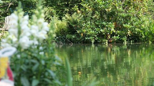 Vakantiewoning Salland