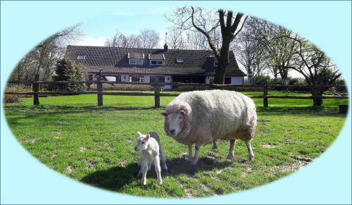 Bed & Breakfast Het Geheim Van Merselo
