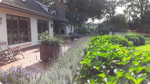 Bed & Breakfast Het Geheim Van Merselo