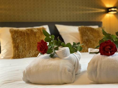 Bed & Breakfast Op D?n Kreijtenberg