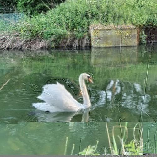Bed & Breakfast De Vliegende Vlinder