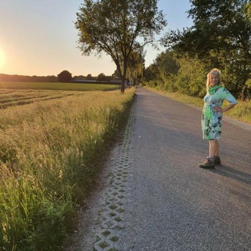 Bed & Breakfast De Vliegende Vlinder