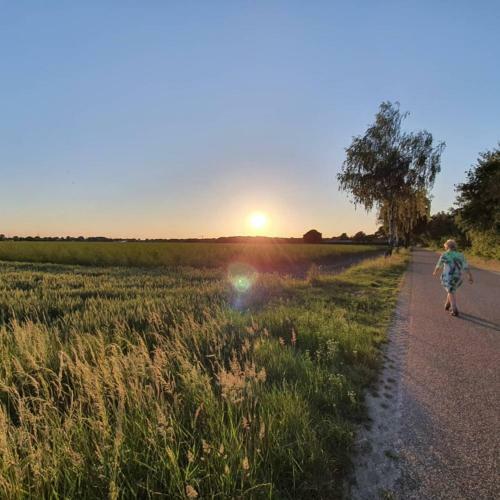 Bed & Breakfast De Vliegende Vlinder