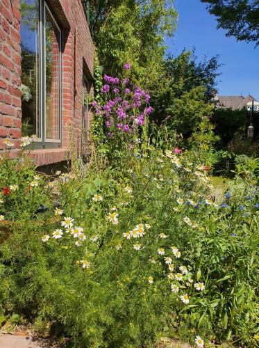 Bed & Breakfast De Vliegende Vlinder