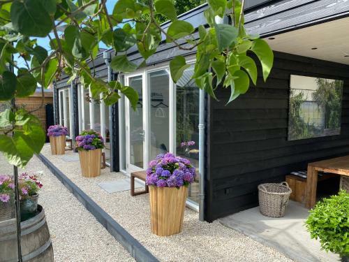 B&B Bij Tante Teun
