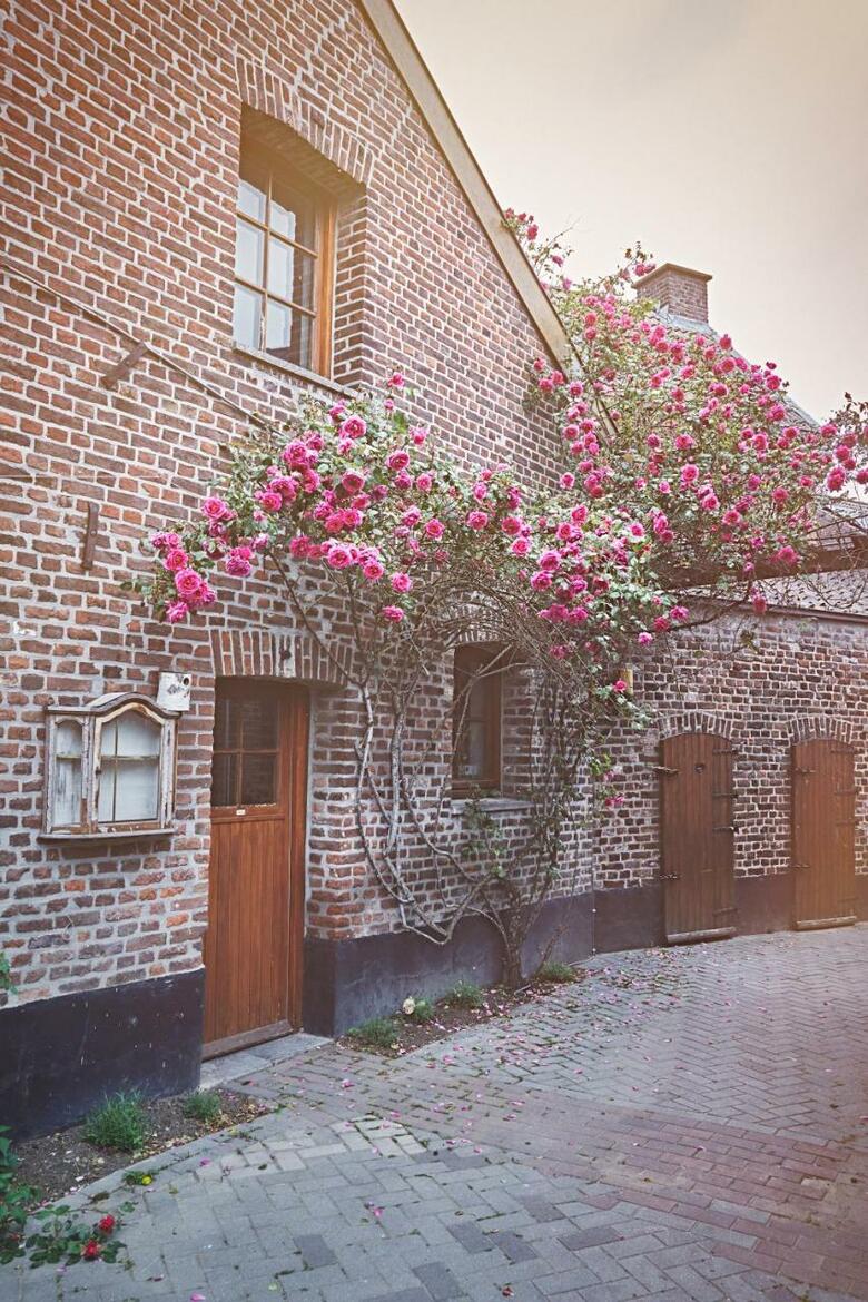 Bed & Breakfast Hollacachet