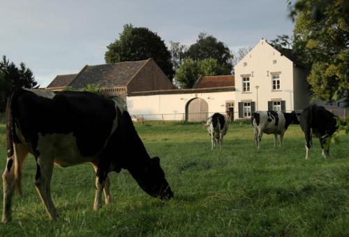 Apartamento La Vache Contente