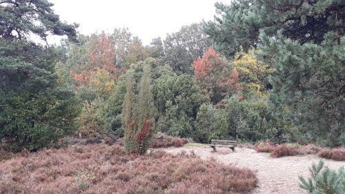 Bed & Breakfast B & B De Driesprong