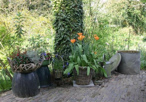 Bed & Breakfast Huys En Hoff Aen Den Haspel
