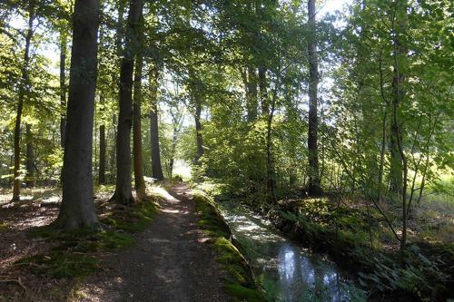 B&B De Bosrand Ommen