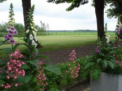 Apartamento Ooldershoeve