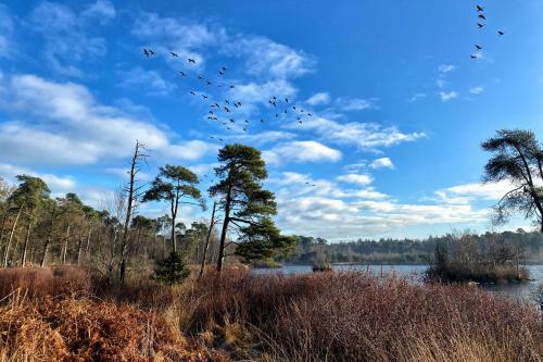 Natuurhuisje Oisterwijk