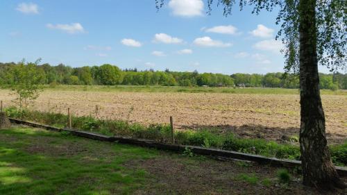 Vazonics Valkenbosch Oisterwijk 86