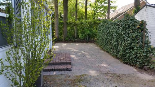 Vazonics Valkenbosch Oisterwijk 86