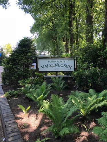 Vazonics Valkenbosch Oisterwijk 86