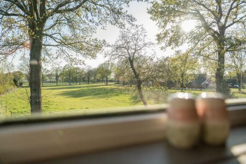 Bed & Breakfast Boerderijkamer Zwanebloem