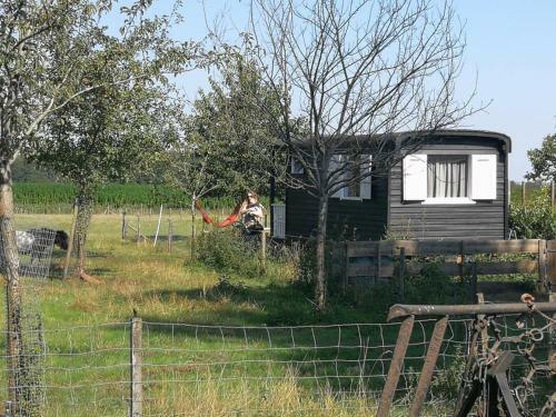 Bed & Breakfast Boerderijkamer Zwanebloem