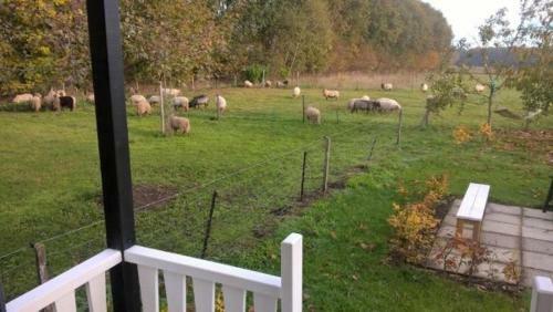 Bed & Breakfast Boerderijkamer Zwanebloem