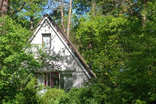 Vakantiehuis Eekhoorn Nunspeet Veluwe