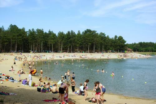 Vakantiehuis Eekhoorn Nunspeet Veluwe