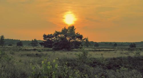 Vakantiehuis Eekhoorn Nunspeet Veluwe