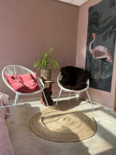 Apartamento Knusse Studio Aan Zee