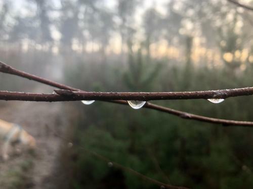 Het Natuurhuisje Op De Veluwe