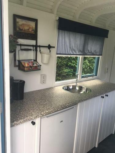 Shepherds Hut (pipowagen)