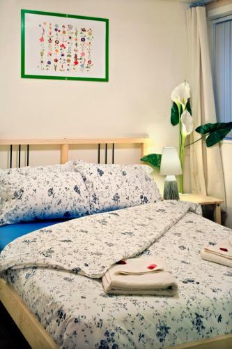 Hostal Discovery Accommodation