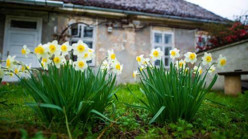 Albergue G�stehaus Fogarasch