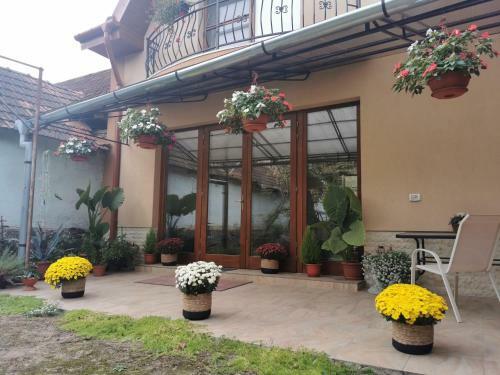 Hostal Pensiunea Agroturistica Boros